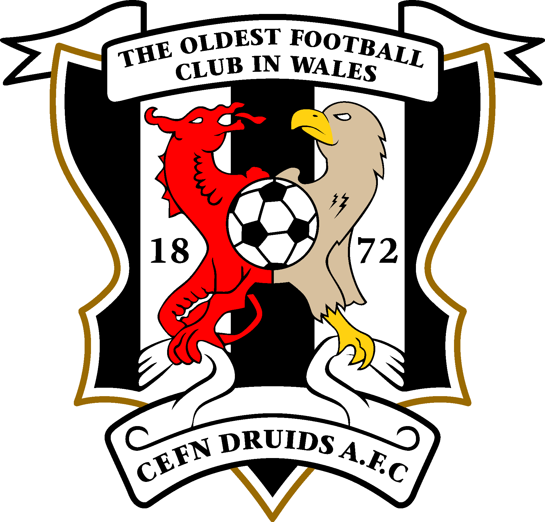 AFC Cefn Druids Logo Vector Logo
